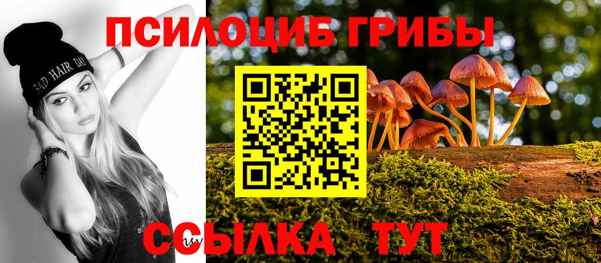Псилоцибиновые грибы MAGIC MUSHROOMS  Вход с VPN  Кизилюрт 